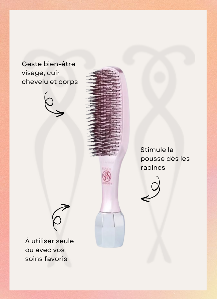 Scalp Brush Bijulie