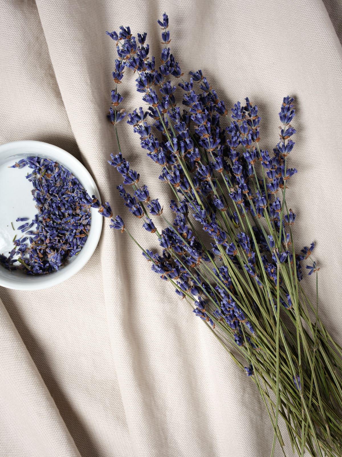 routine, pousse des cheveux, cuir chevelu, Reims, coiffeur, visagiste lavande