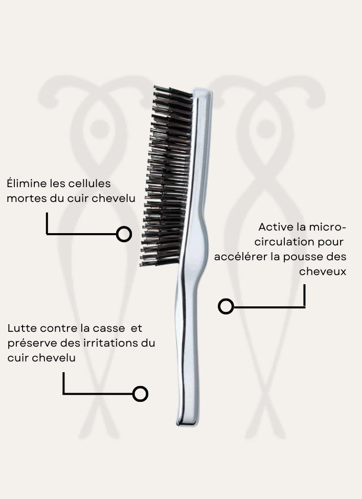 Scalp Brush + S.Heart.S Picky Hair Reims