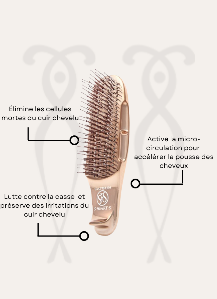 Scalp Brush Mini S.Heart.S Picky Hair Reims