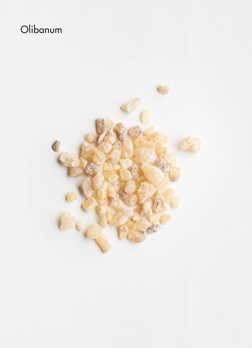 cuir chevelu sensible, irritation, La Biosthétique, Reims, coiffeur, visagiste