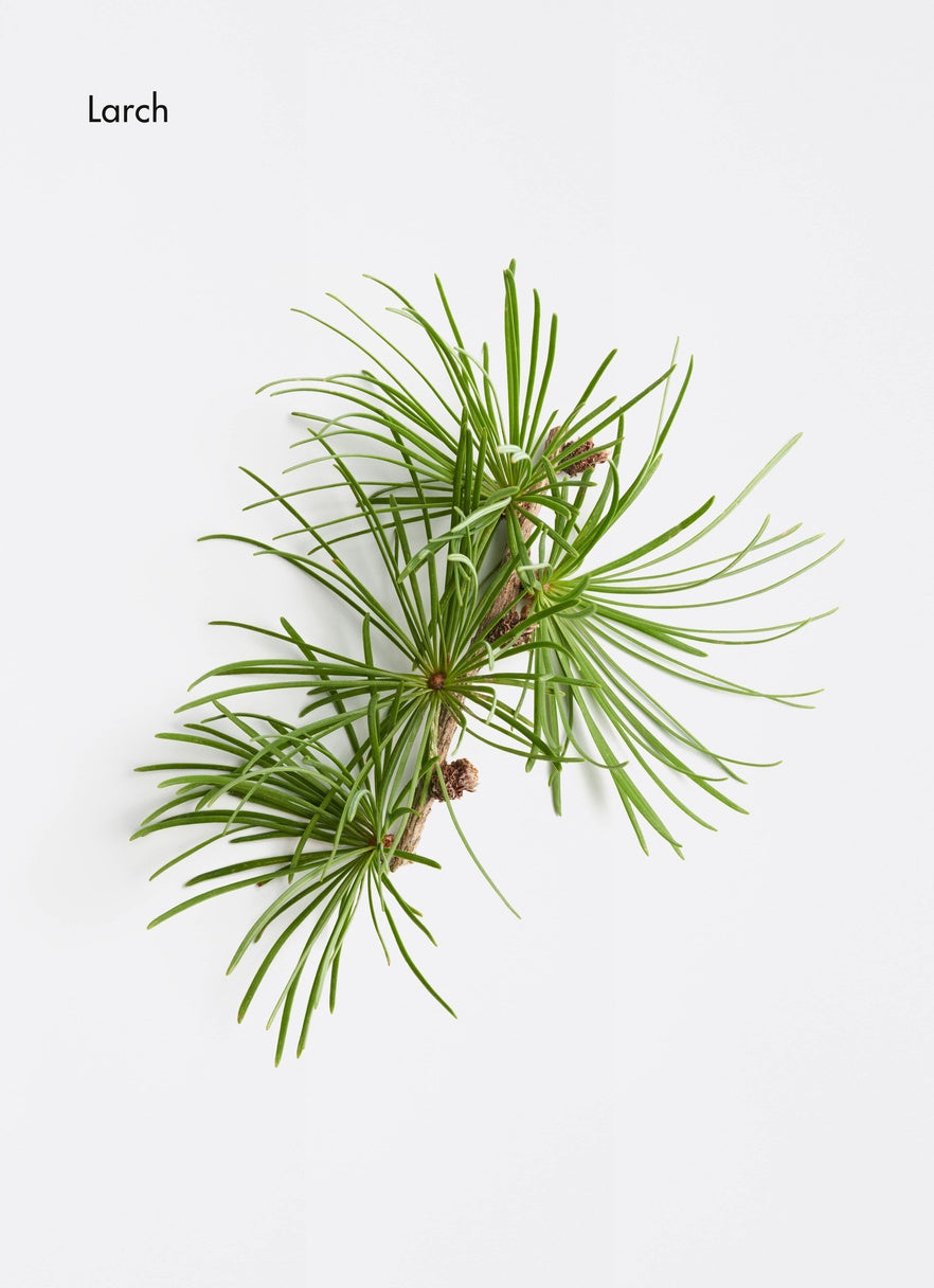 chute de cheveux, méthode régénérante, scalp care, la biostethique picky hair reims cuir chevelu traitement