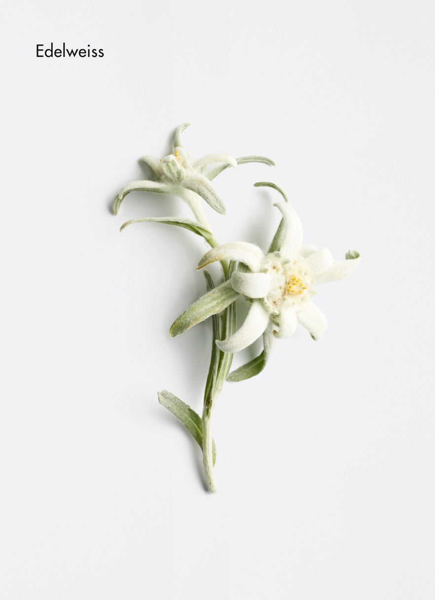chute de cheveux, méthode régénérante, scalp care, la biostethique picky hair reims cuir chevelu traitement edelweiss 