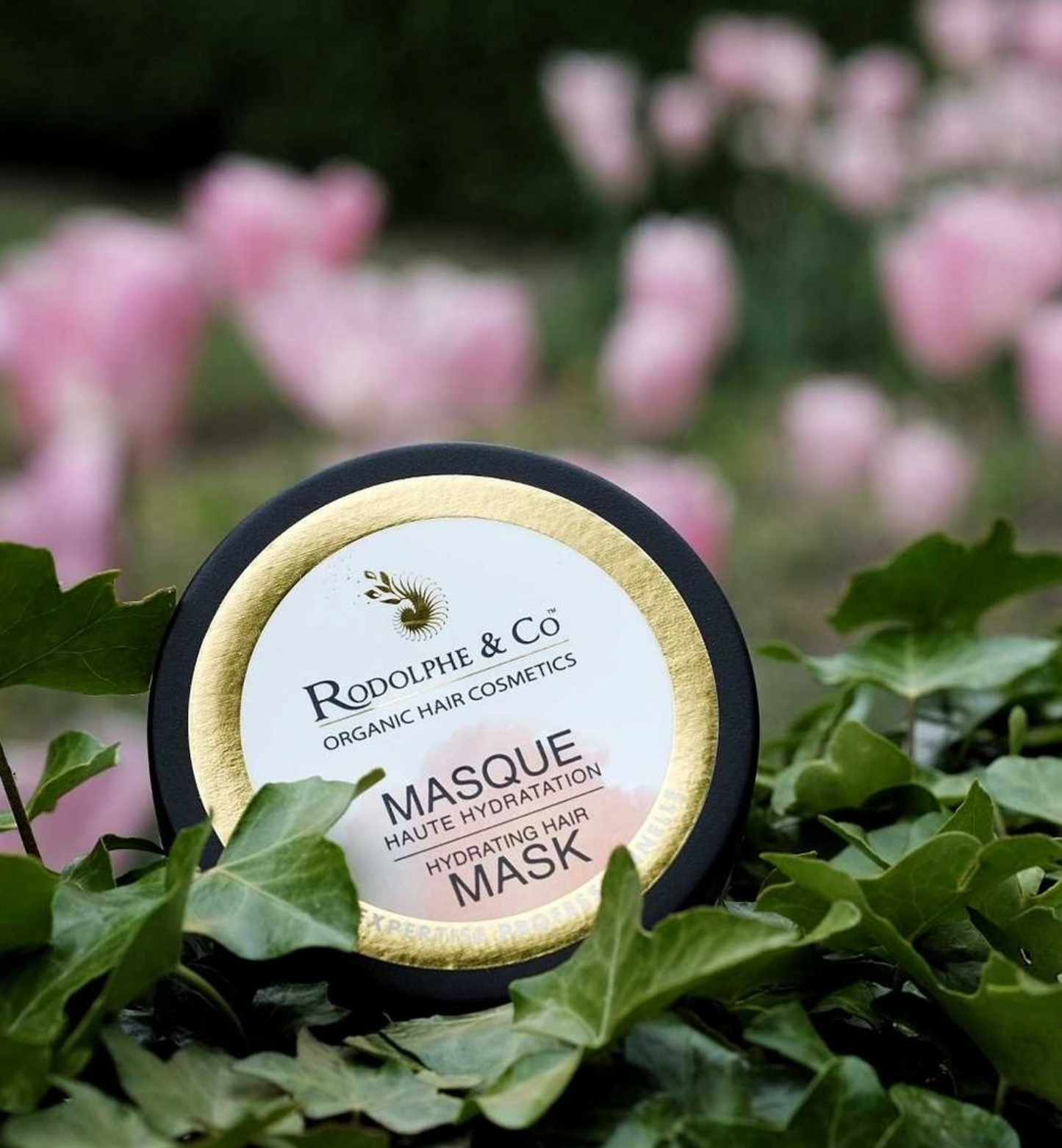 masque soin hydratation cheveux rodolphe and co reims