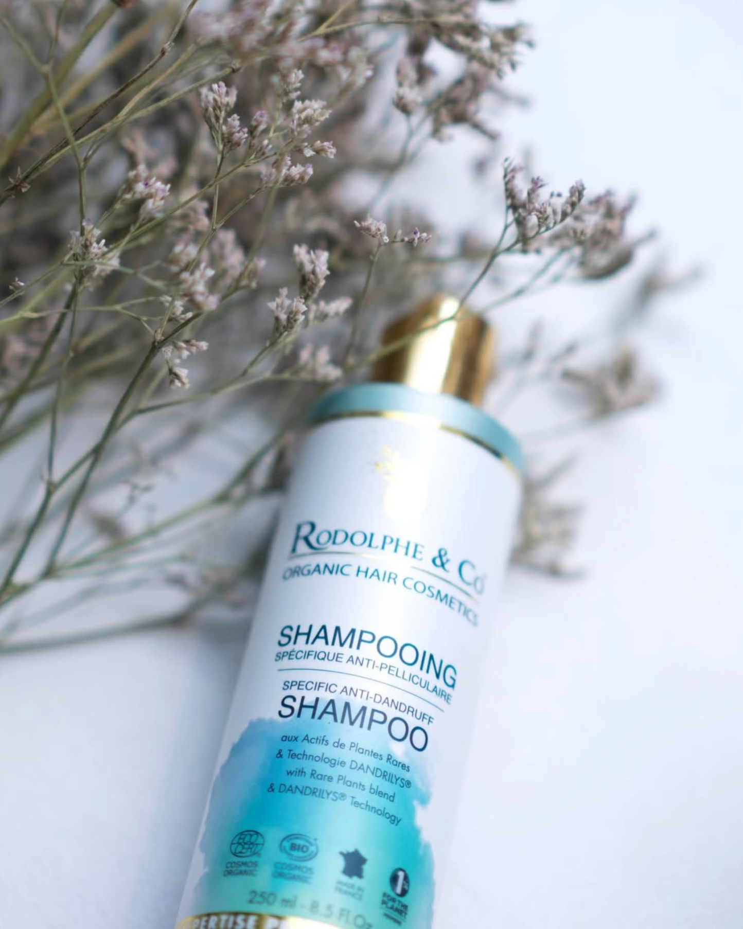 shampoing antipelliculaire rodolphe and co picky hair reims 