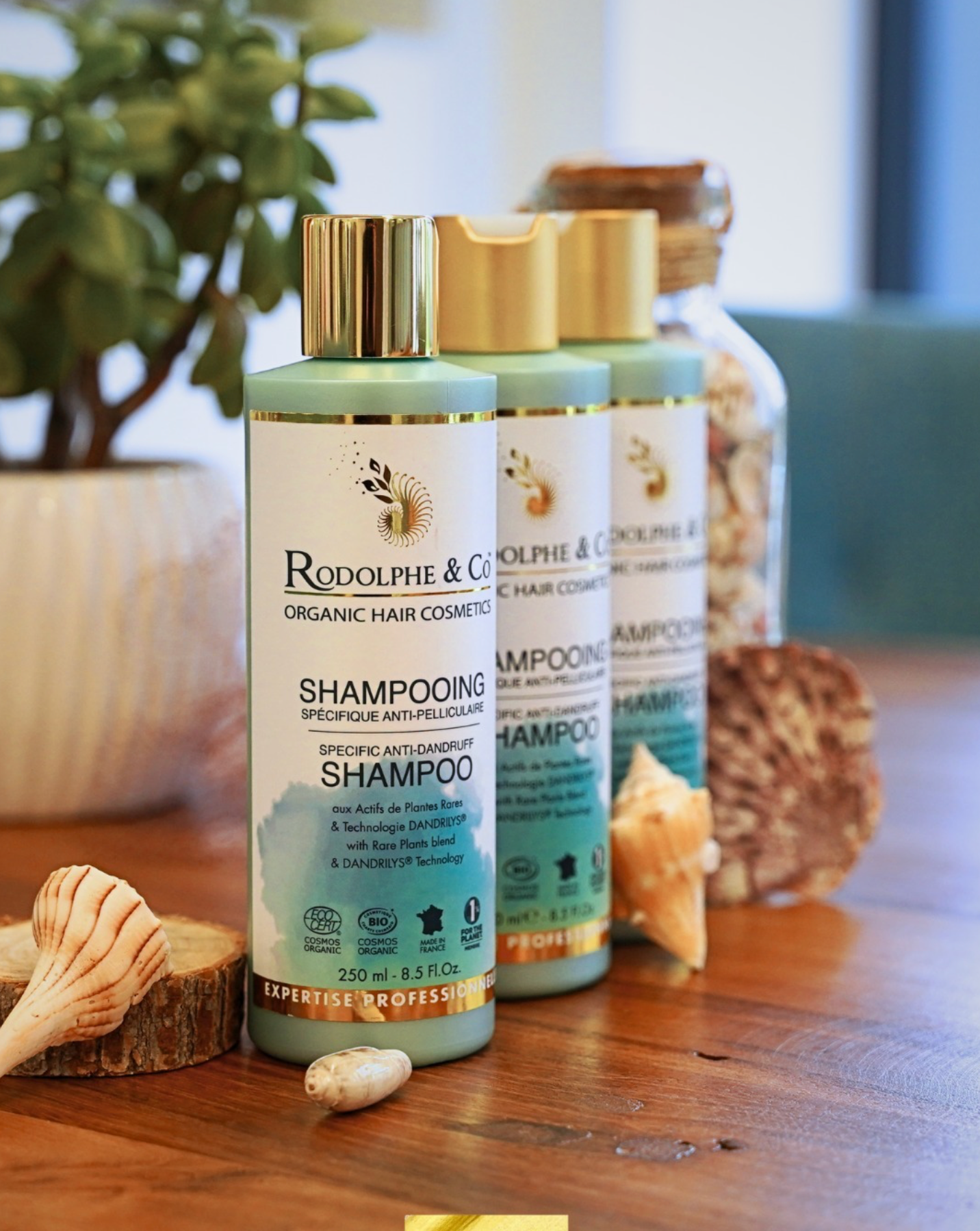 shampoing antipelliculaire rodolphe and co picky hair reims 