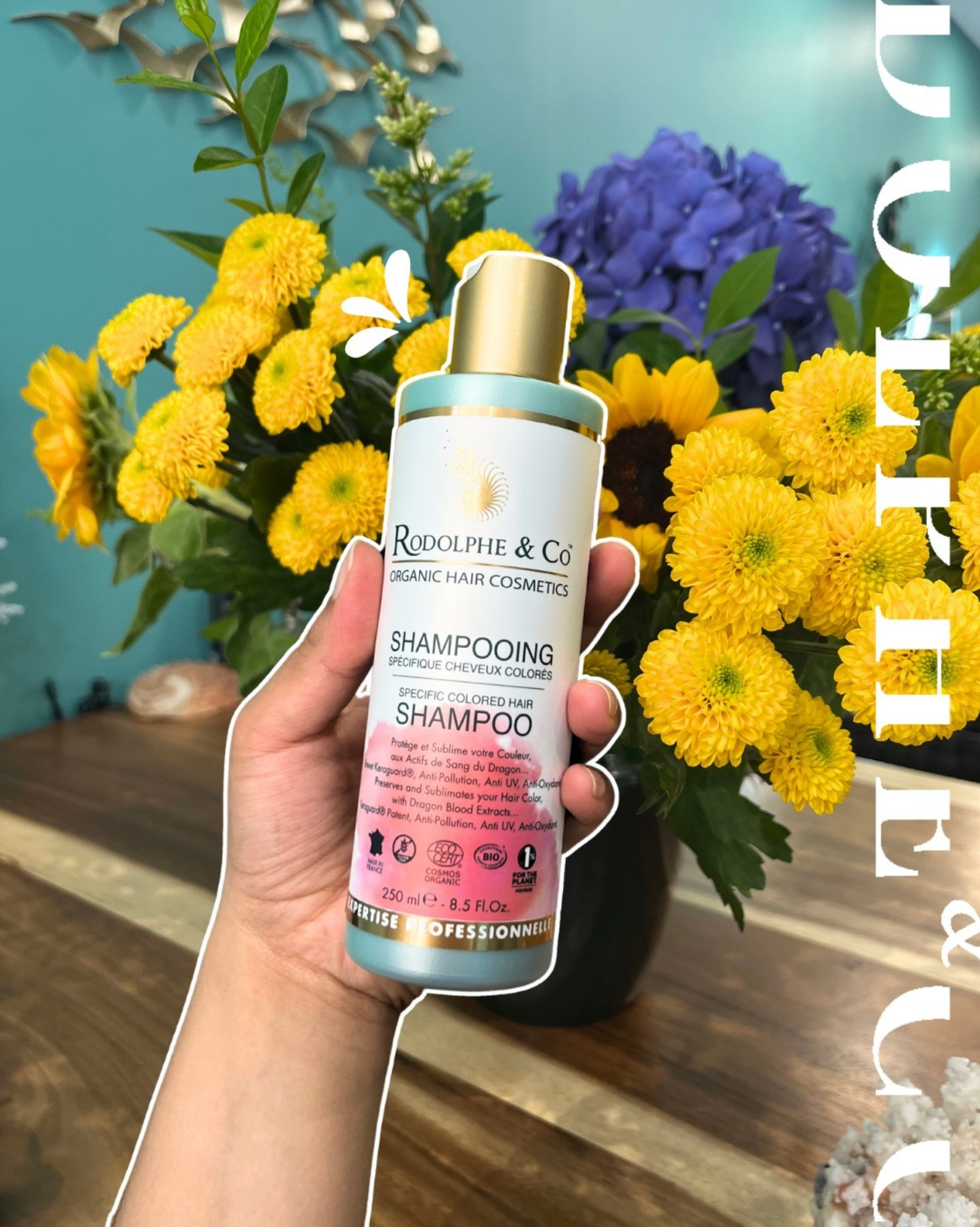 shampoing cheveux colorés rodolphe and co picky hair reims bio sain visagiste coiffure